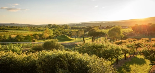 Un viaggio artistico e culinario nella Provenza selvaggia: il ritorno di Domaine des Andéols